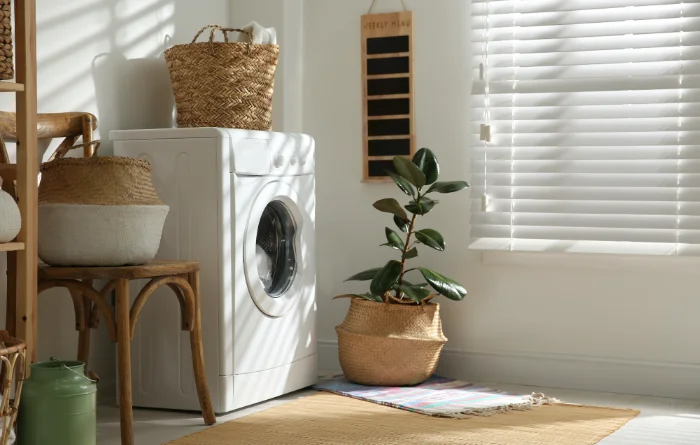 Common Repair Issues